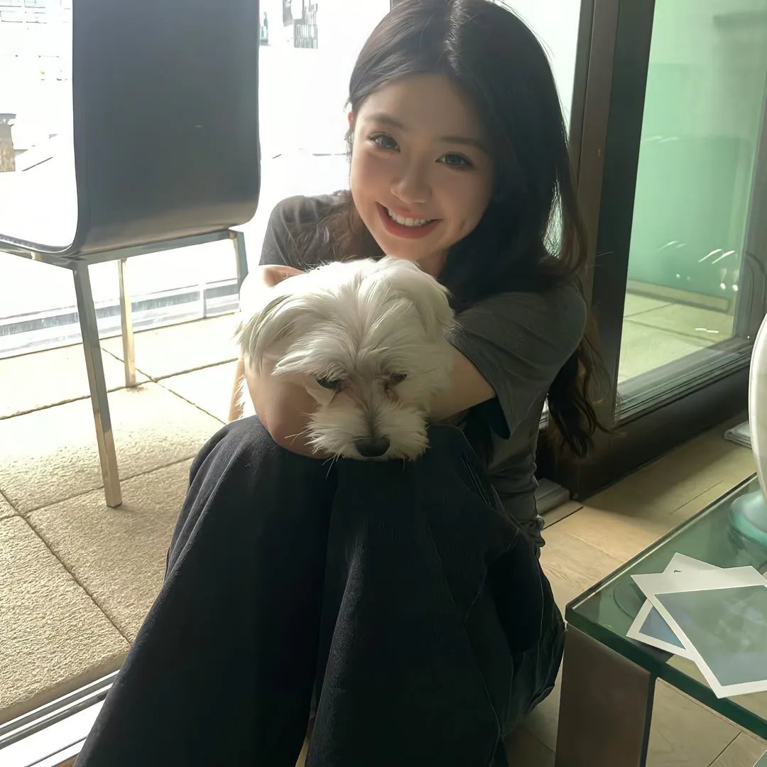 独立之日 海报
